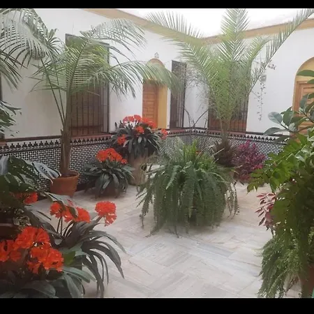 Apartamento La Casa De Tachi *
