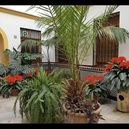 Apartment La Casa De Tachi