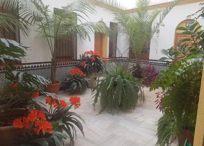 Appartement La Casa De Tachi *